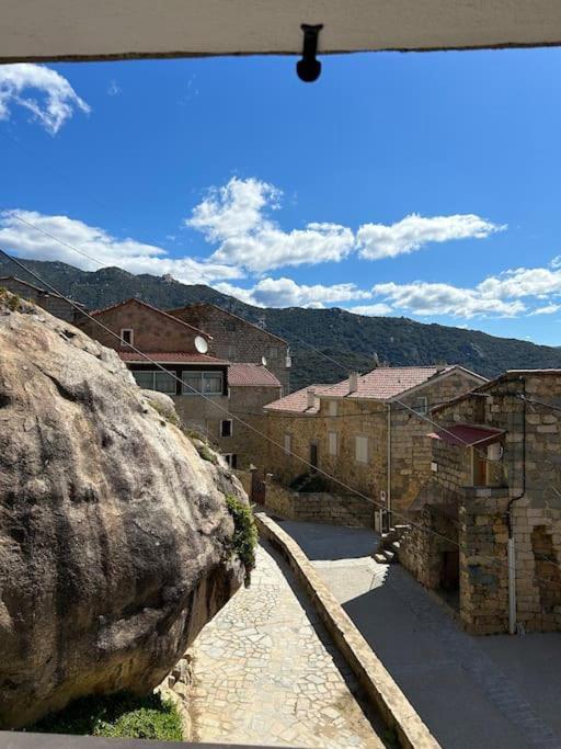 Casa Amarina Villa Olmeto  Luaran gambar
